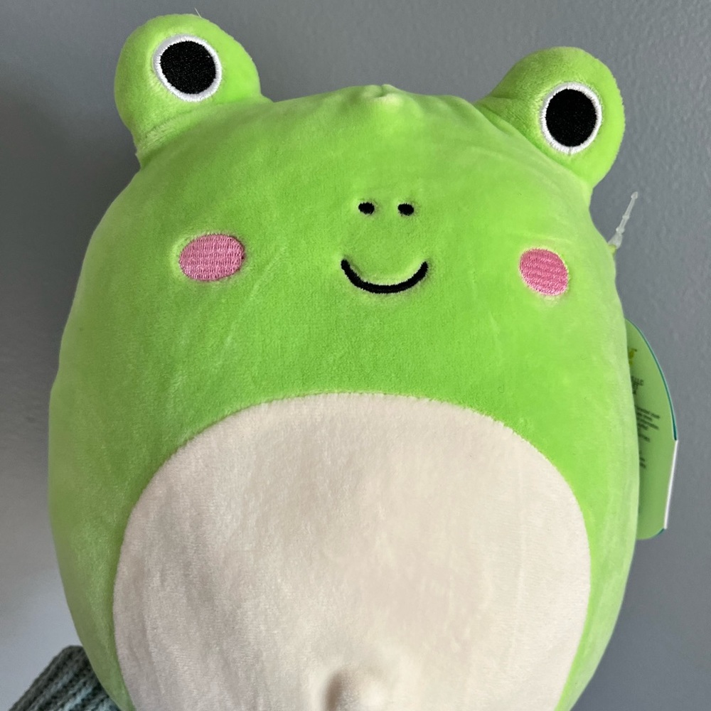 Rare Frog Wendy Squishmallow